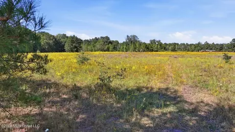 Presley Road, Lena, MS 39094 photo 38