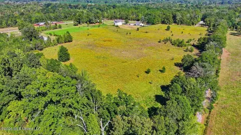 Presley Road, Lena, MS 39094 photo 16
