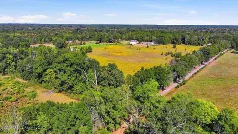 Presley Road, Lena, MS 39094 photo 32