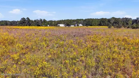Presley Road, Lena, MS 39094 photo 33