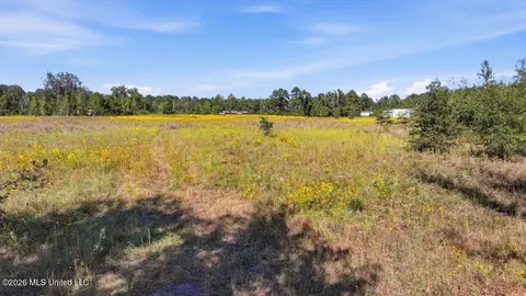 Presley Road, Lena, MS 39094 photo 39