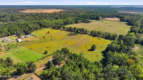 Presley Road, Lena, MS 39094 photo 12
