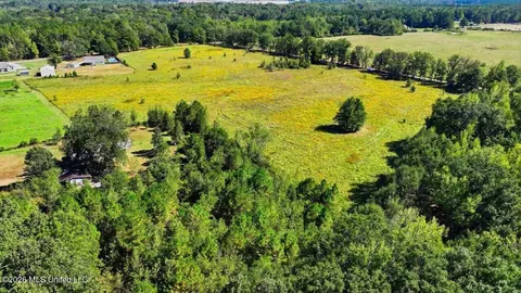 Presley Road, Lena, MS 39094 photo 17