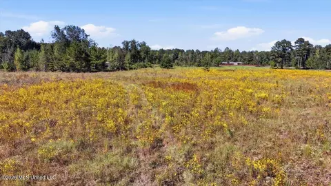 Presley Road, Lena, MS 39094 photo 36