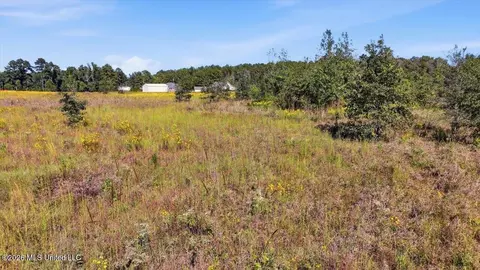 Presley Road, Lena, MS 39094 photo 35