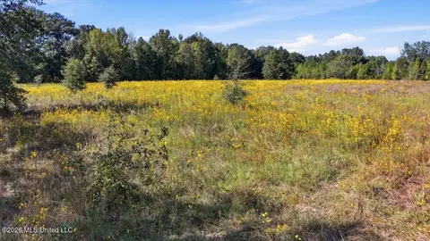 Presley Road, Lena, MS 39094 photo 34