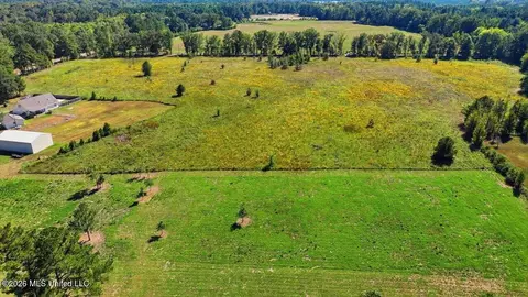 Presley Road, Lena, MS 39094 photo 28