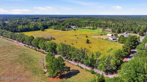 Presley Road, Lena, MS 39094 photo 20