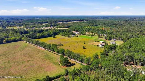 Presley Road, Lena, MS 39094 photo 4