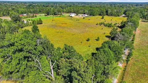 Presley Road, Lena, MS 39094 photo 31