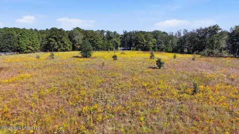 Presley Road, Lena, MS 39094 photo 37