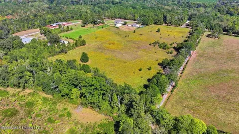 Presley Road, Lena, MS 39094 photo 15