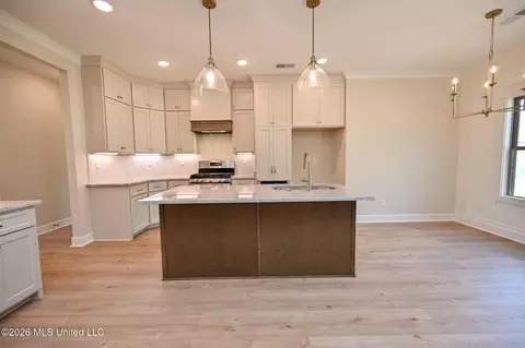 Other - 2306 Lochside St, Hernando, MS 38632 photo 4 of 12