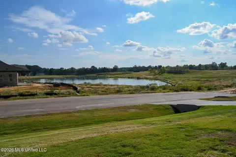 View/Area - 2306 Lochside St, Hernando, MS 38632 photo 3 of 3