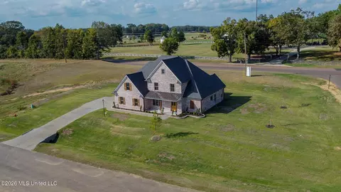Exterior - 2306 Lochside St, Hernando, MS 38632 photo 8 of 13