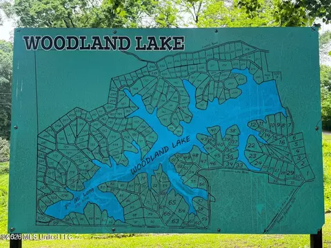lot119 Dogwood Cv, Hernando, MS 38632 photo 2
