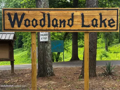 lot119 Dogwood Cv, Hernando, MS 38632 photo 24