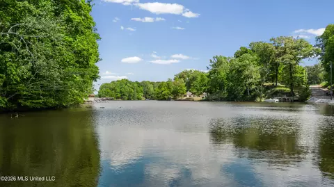 lot119 Dogwood Cv, Hernando, MS 38632 photo 18