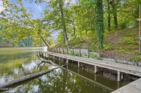 Other - 2815 Woodland Lake Dr, Hernando, MS 38632 photo 8 of 11