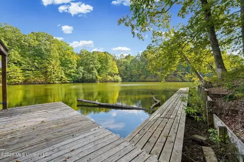 Other - 2815 Woodland Lake Dr, Hernando, MS 38632 photo 7 of 11
