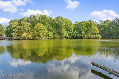 View/Area - 2815 Woodland Lake Dr, Hernando, MS 38632 photo 6 of 8