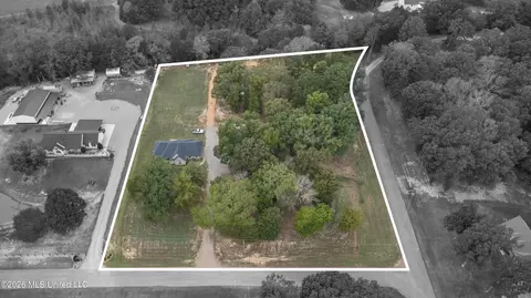 View/Area - 313 Springrun Rd, Coldwater, MS 38618 photo 3 of 3