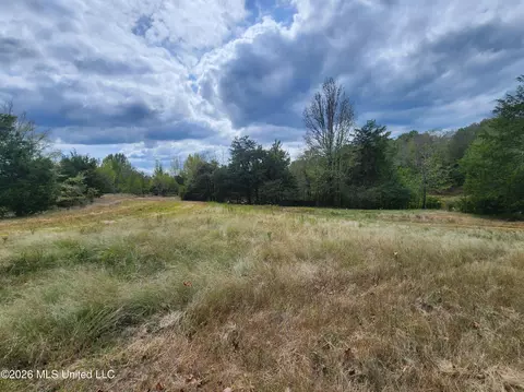 81 4 Rowell Rd, Coldwater, MS 38618 photo 8