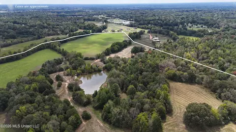 81 4 Rowell Rd, Coldwater, MS 38618 photo 5