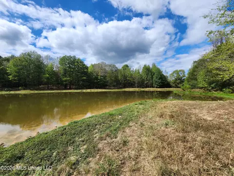 81 4 Rowell Rd, Coldwater, MS 38618 photo 17