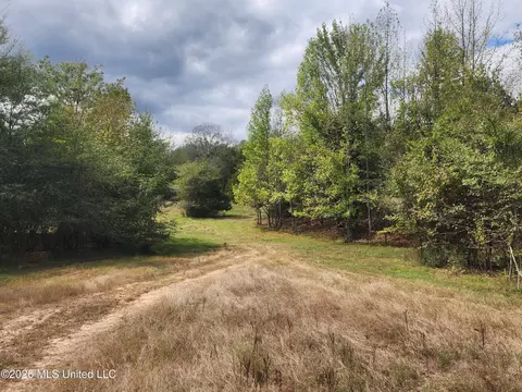 81 4 Rowell Rd, Coldwater, MS 38618 photo 6