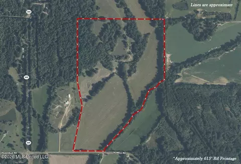 81 4 Rowell Rd, Coldwater, MS 38618 photo 20