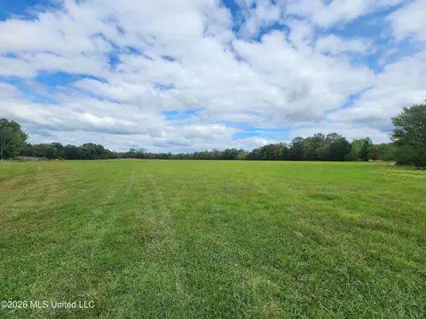 81 4 Rowell Rd, Coldwater, MS 38618 photo 3