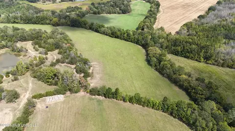 81 4 Rowell Rd, Coldwater, MS 38618 photo 25