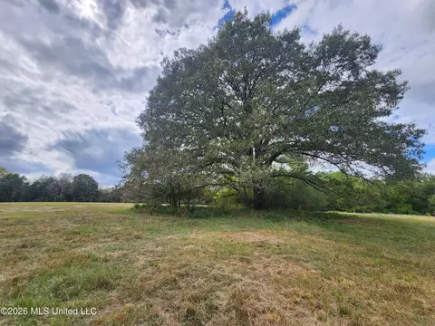 81 4 Rowell Rd, Coldwater, MS 38618 photo 13