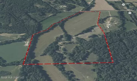 81 4 Rowell Rd, Coldwater, MS 38618 photo 31