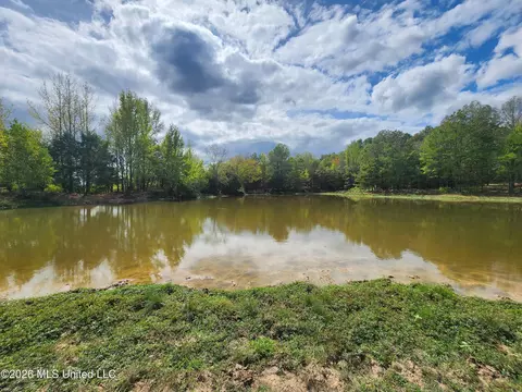 81 4 Rowell Rd, Coldwater, MS 38618 photo 16