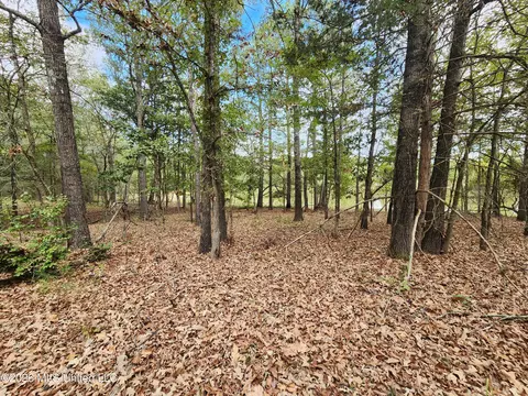 81 4 Rowell Rd, Coldwater, MS 38618 photo 14