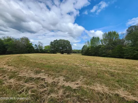 81 4 Rowell Rd, Coldwater, MS 38618 photo 12