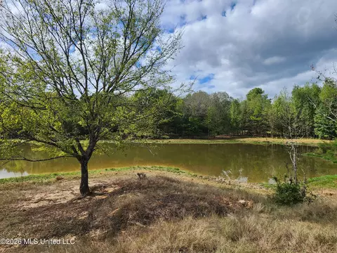 81 4 Rowell Rd, Coldwater, MS 38618 photo 15