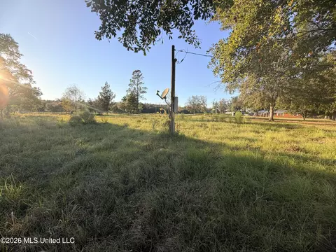 Other - 2177 Tannertown Rd, Lucedale, MS 39452 photo 5 of 6