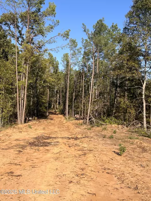 Mississippi Highway 310, Como, MS 38619 photo 8