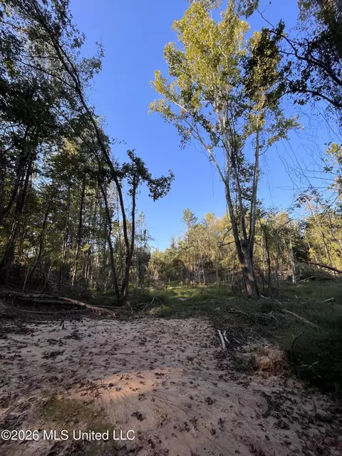 Mississippi Highway 310, Como, MS 38619 photo 22