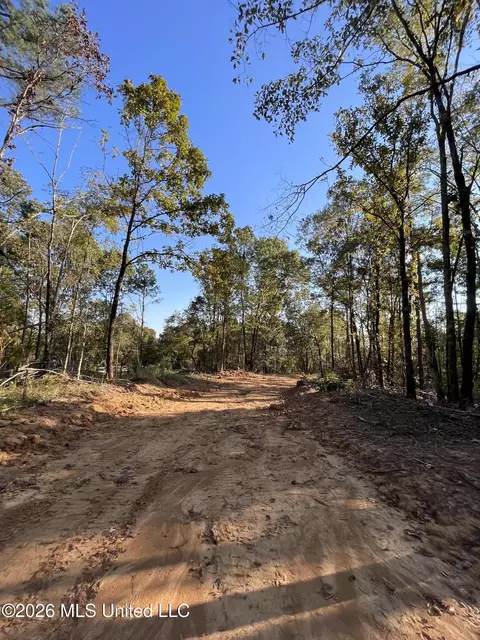 Mississippi Highway 310, Como, MS 38619 photo 13