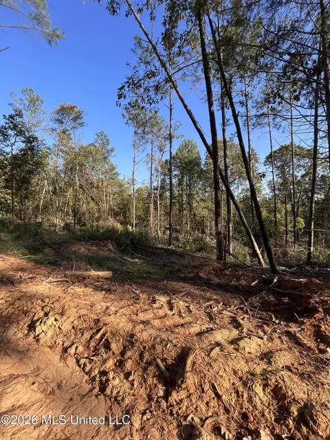 Mississippi Highway 310, Como, MS 38619 photo 12