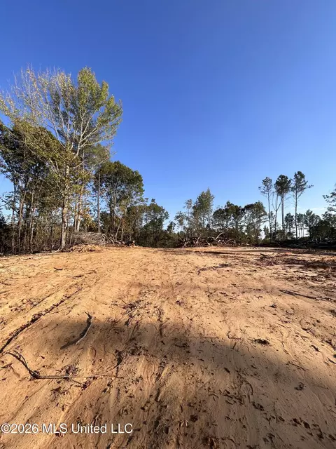 Mississippi Highway 310, Como, MS 38619 photo 14