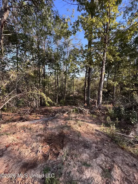 Mississippi Highway 310, Como, MS 38619 photo 5