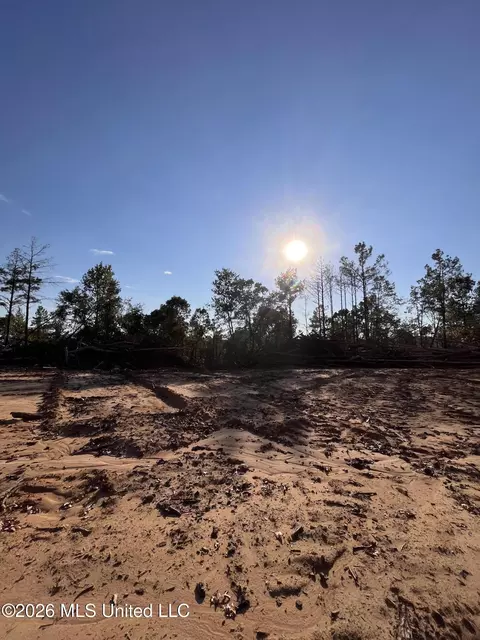 Mississippi Highway 310, Como, MS 38619 photo 15