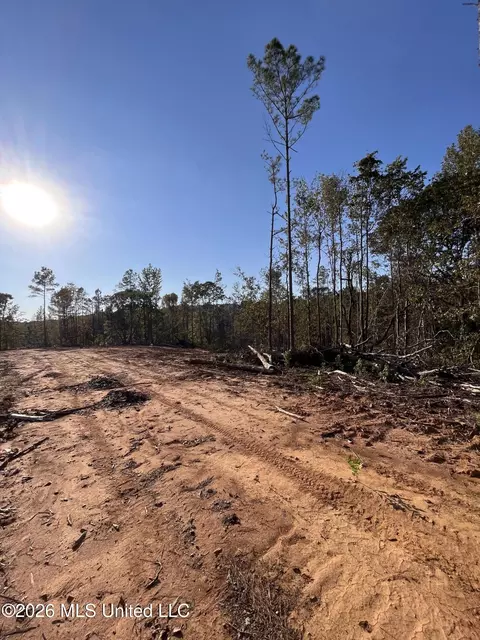 Mississippi Highway 310, Como, MS 38619 photo 10