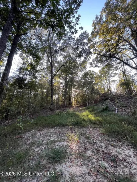 Mississippi Highway 310, Como, MS 38619 photo 20