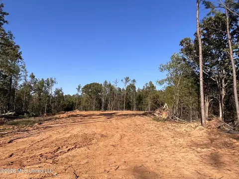 Mississippi Highway 310, Como, MS 38619 photo 6